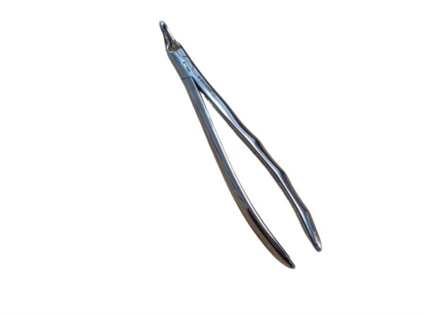 RM Extraction Forceps Extraction of the root fragments from the lower horizontal embedded eighths molars (PC)