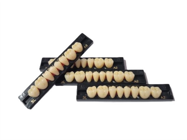 SP-1 Posterior Lower M3